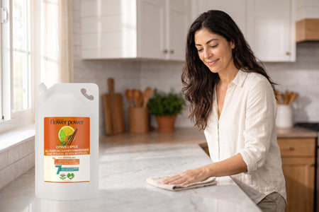 Citrus & Spice All-Purpose Cleaner 7X Refill while she wipes the kitchen counter